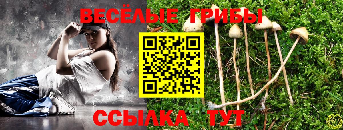 Псилоцибиновые грибы прущие грибы Моздок