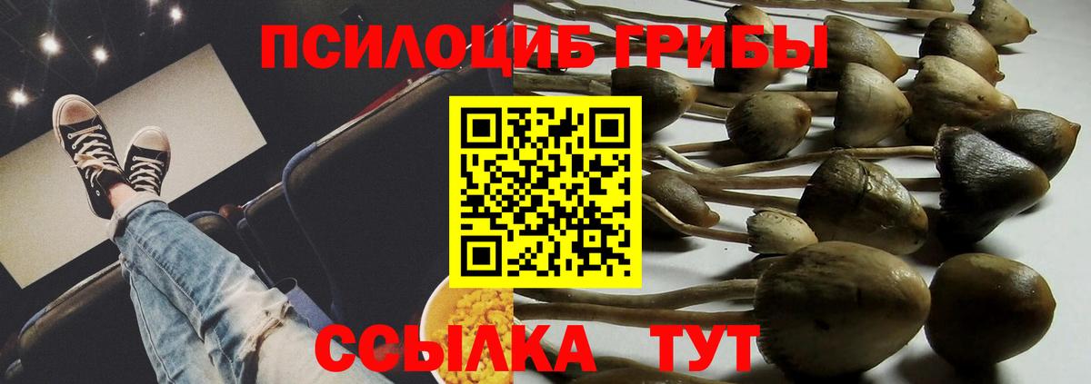 Моздок  Псилоцибиновые грибы мухоморы  Вход с VPN 